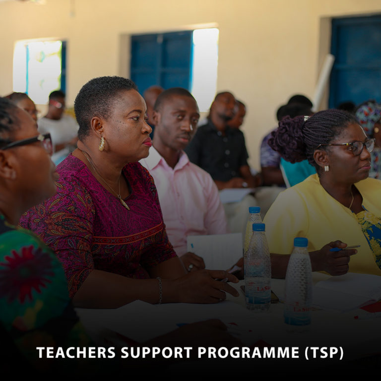 Teachers Support Programme