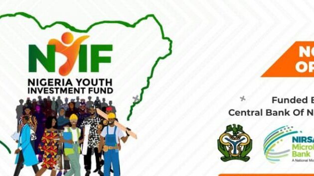 Nigeria Youth Investment Fund (Access up to N3 Million Credit Facility)