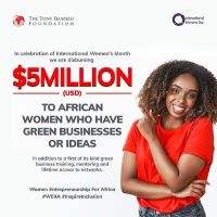 THE TONY ELUMELU FOUNDATION (TEF) WOMEN ENTREPRENEURSHIP FOR AFRICA (WE4A) PROGRAM 2024 FOR FEMALE ENTREPRENEURS (5 MILLION USD IN FUNDING)